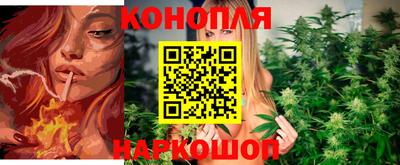 каннабис Малгобек