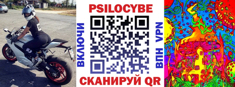 Галлюциногенные грибы мицелий  купить наркоту  Новошахтинск 