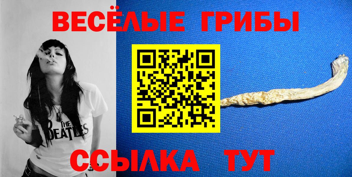 Новошахтинск  Галлюциногенные грибы мицелий  Вход с VPN 